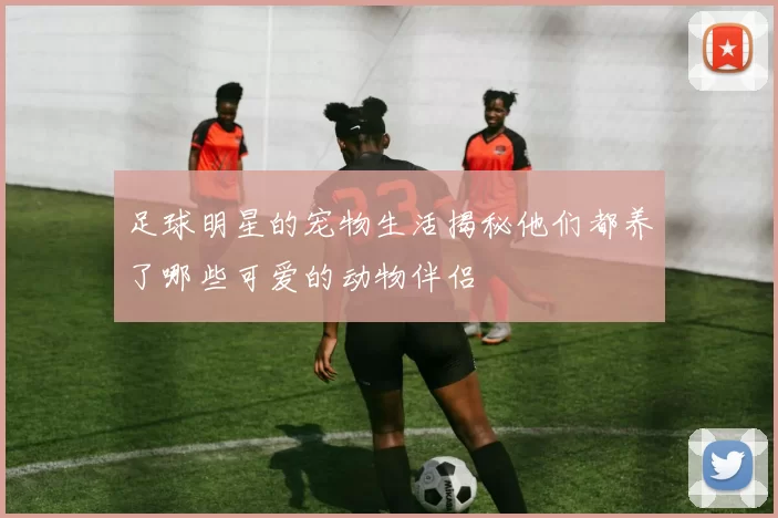 足球明星的宠物生活揭秘他们都养了哪些可爱的动物伴侣