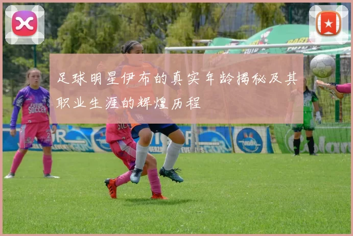足球明星伊布的真实年龄揭秘及其职业生涯的辉煌历程