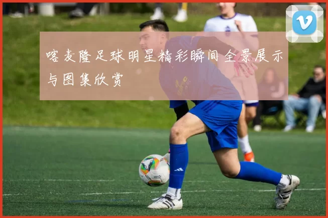 喀麦隆足球明星精彩瞬间全景展示与图集欣赏