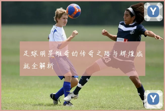 足球明星维奇的传奇之路与辉煌成就全解析