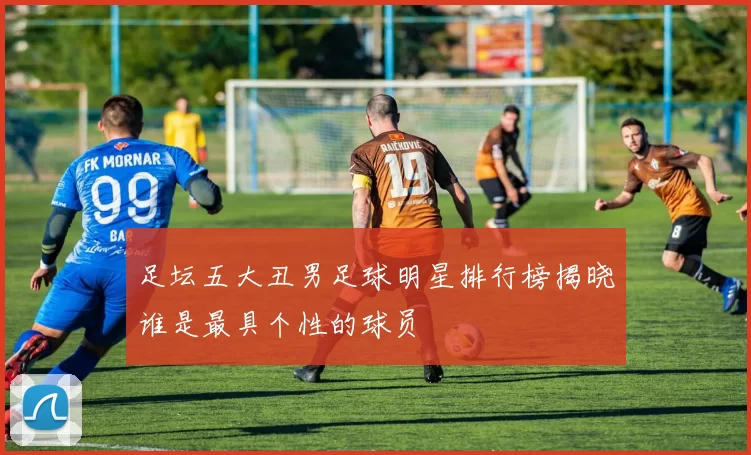 足坛五大丑男足球明星排行榜揭晓谁是最具个性的球员