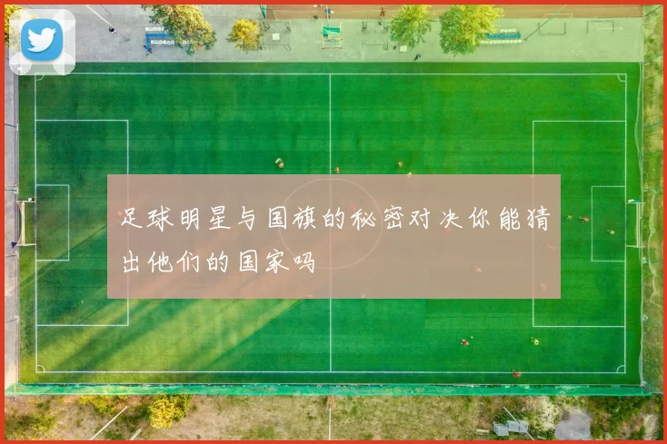 足球明星与国旗的秘密对决你能猜出他们的国家吗