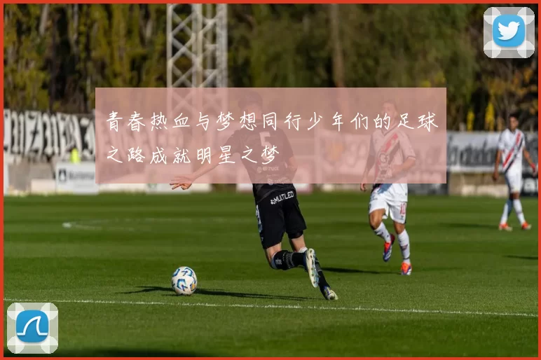 青春热血与梦想同行少年们的足球之路成就明星之梦