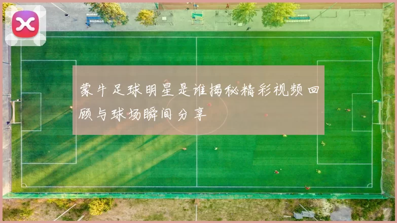 蒙牛足球明星是谁揭秘精彩视频回顾与球场瞬间分享