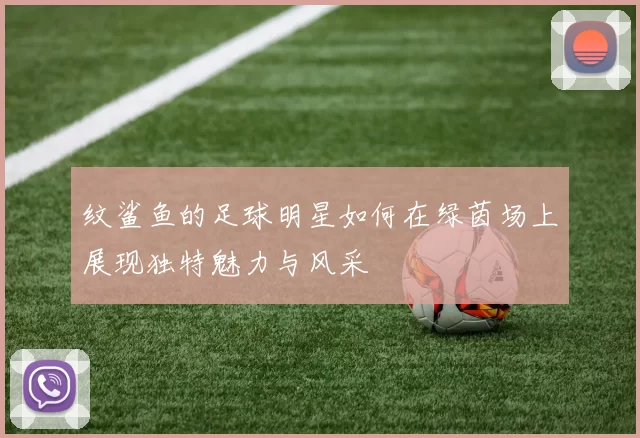 纹鲨鱼的足球明星如何在绿茵场上展现独特魅力与风采