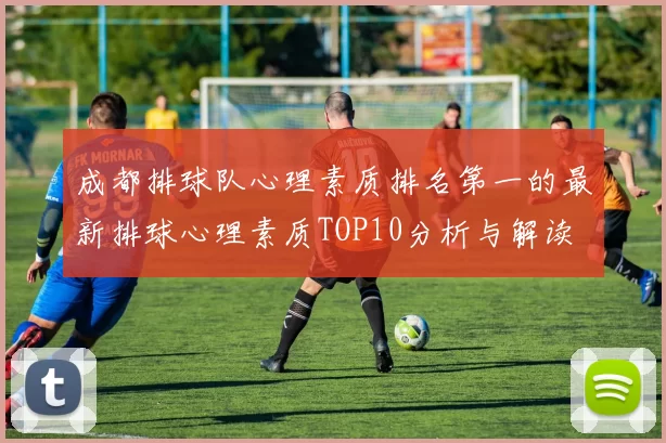 成都排球队心理素质排名第一的最新排球心理素质TOP10分析与解读