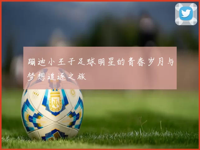蹦迪小王子足球明星的青春岁月与梦想追逐之旅