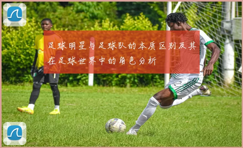 足球明星与足球队的本质区别及其在足球世界中的角色分析