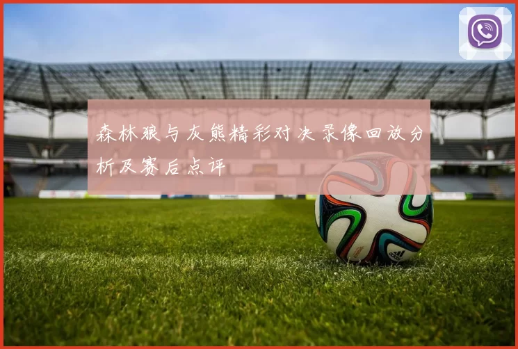 森林狼与灰熊精彩对决录像回放分析及赛后点评