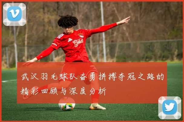 武汉羽毛球队奋勇拼搏夺冠之路的精彩回顾与深度分析