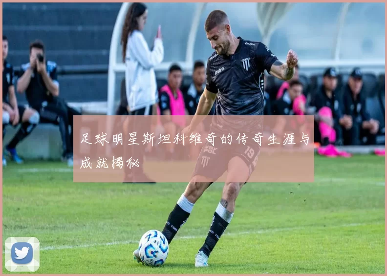 足球明星斯坦科维奇的传奇生涯与成就揭秘